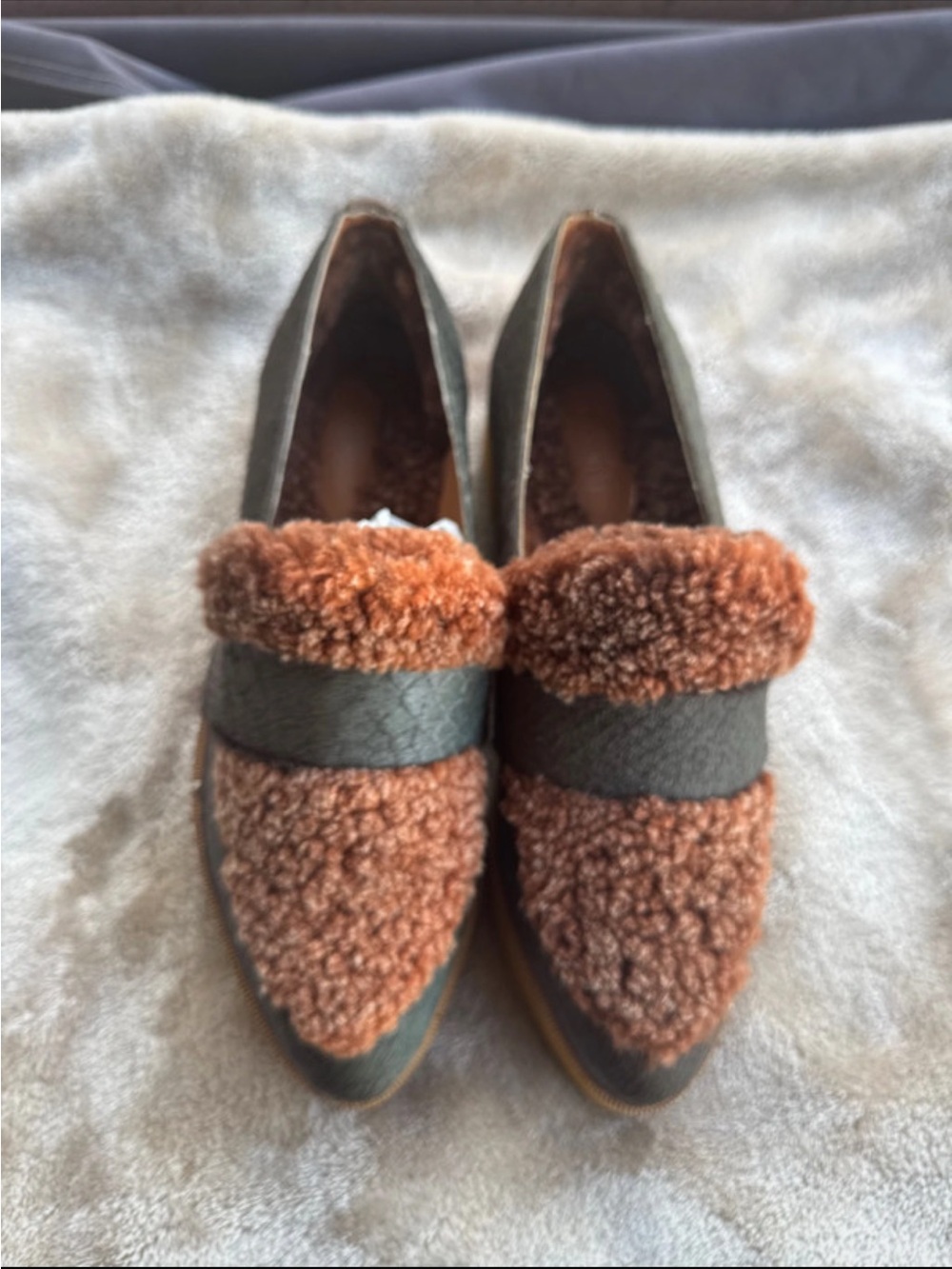 Australia Luxe Collective Brown Shearling-Trim Loafers